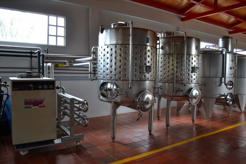 cave-LA GARDE-min_wine_production_cantine_winery_drink_alcohol_vine_beverage-902036